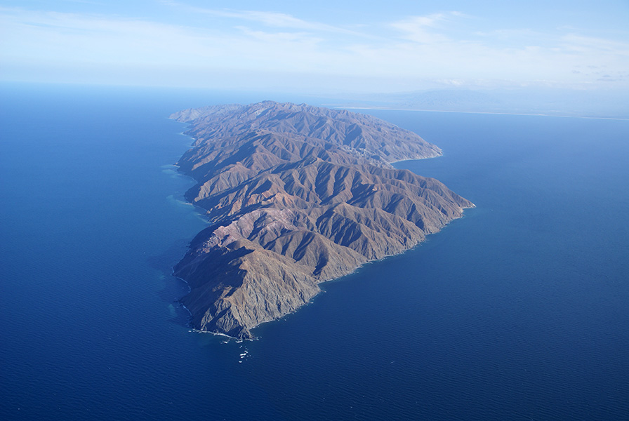 Αποτέλεσμα εικόνας για Νησί ceralvo mexico